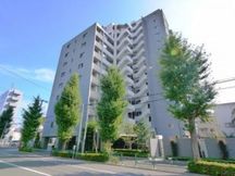 小石川アインス 画像