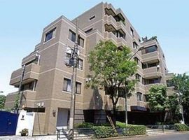 南青山豊田パーク･マンション 画像