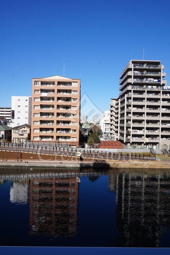 ジニア深川住吉 眺望