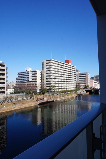 ジニア深川住吉 眺望