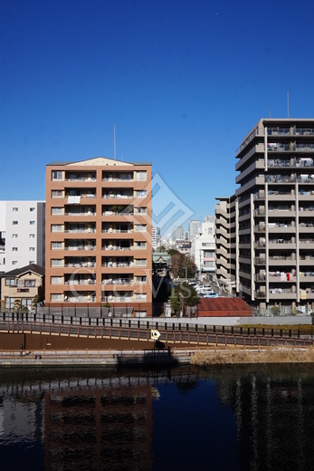 ジニア深川住吉 眺望