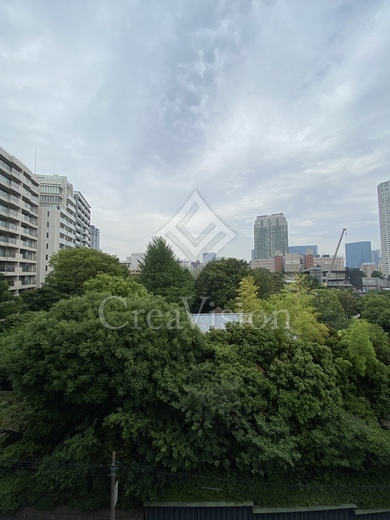 ザ・ロイヤルガーデンレジデンス白金台 眺望