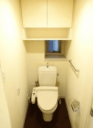 神楽坂パークハウス トイレ