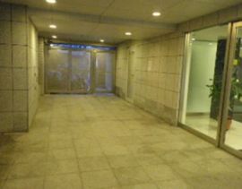 セントラルレジデンス四番町シティハウス 物件写真 建物写真4