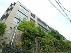 ライオンズマンション南青山グランフォート 物件写真 建物写真4