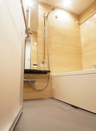 プレシス新宿柏木 物件写真 建物写真18