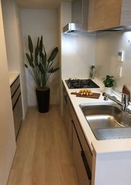 クレヴィア住吉扇橋 キッチン