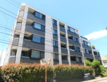 プレシス駒場東大前 画像