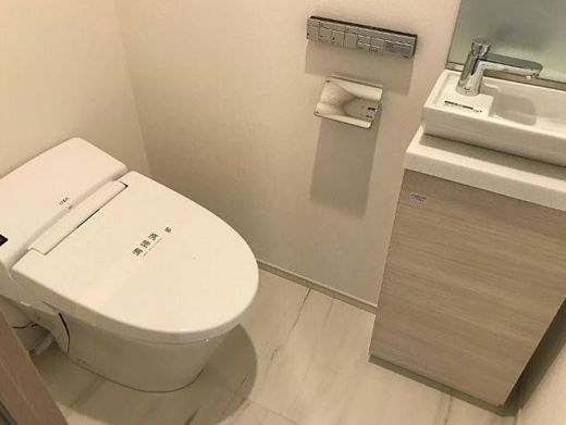 ディアナコート駒場翠景 トイレ