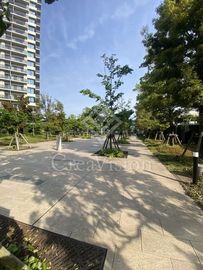 シティタワーズ東京ベイ 外観 物件画像6
