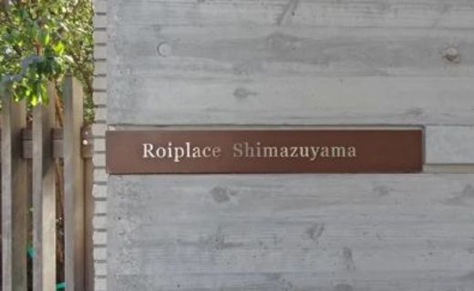 ロワプレイス島津山 物件写真 建物写真4