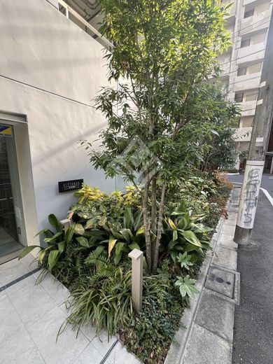 エルスタンザ文京湯島 写真