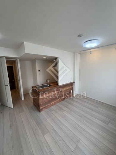 エルスタンザ文京湯島 1LDK　部屋画像