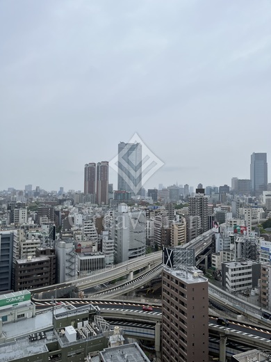 パークコート麻布十番ザタワー 眺望