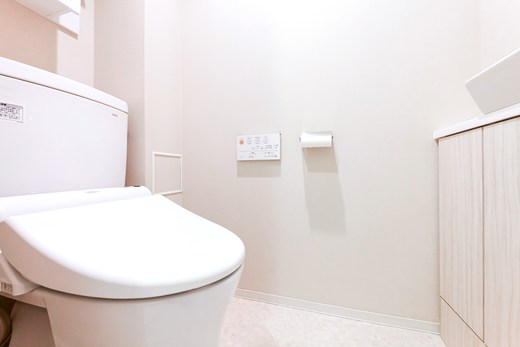 グランスイート三軒茶屋スカイテラス 物件写真 建物写真20