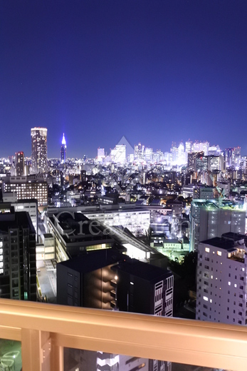 プライムアーバン新宿夏目坂タワーレジデンス 眺望