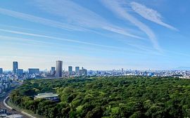 パークコート渋谷ザタワー 物件写真 建物写真4