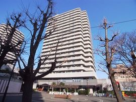 ツインタワーすみとし住吉館 物件写真 建物写真1