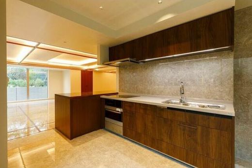 Prestige Residence白金長者丸 (プレステージレジデンス白金長者丸) 物件写真 建物写真9