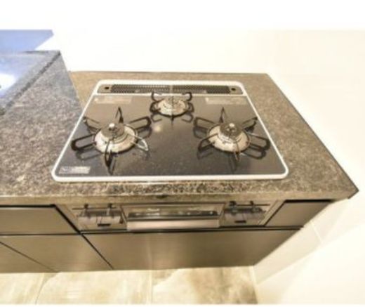 ルネサンス六本木プレミアムコート 物件写真 建物写真11