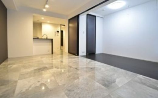 ルネサンス六本木プレミアムコート 物件写真 建物写真4