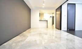 ルネサンス六本木プレミアムコート 物件写真 建物写真5