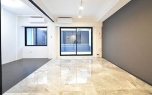ルネサンス六本木プレミアムコート 物件写真 建物写真7