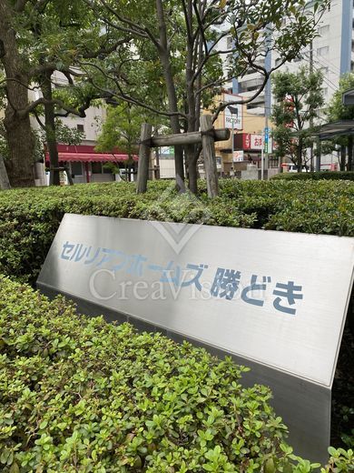 セルリアンホームズ勝どき 外観 物件画像3