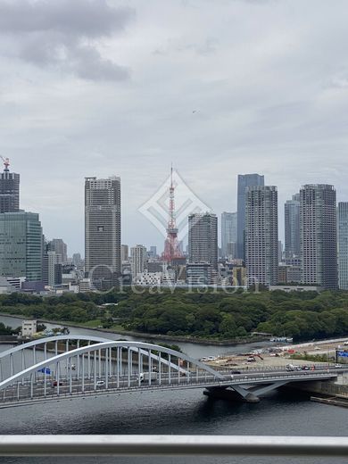 セルリアンホームズ勝どき 眺望