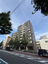 CATS原宿 (キャッツ原宿) 画像