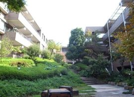 シティコート代々木 画像