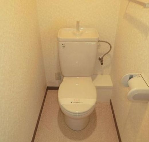 パークヒルズ武蔵小杉 物件写真 建物写真19
