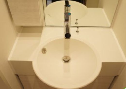 ガーラ・プレシャス三軒茶屋 洗面所