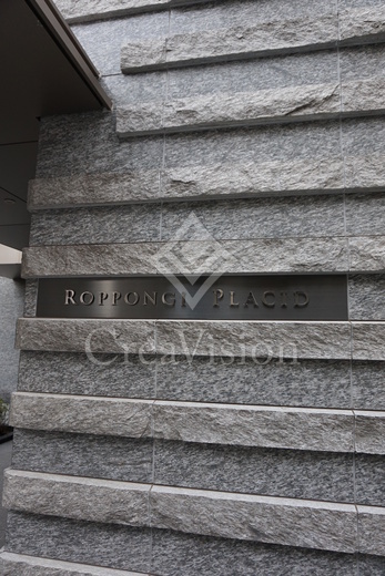 六本木プラシッド (ROPPONGI PLACID) 外観 物件画像12