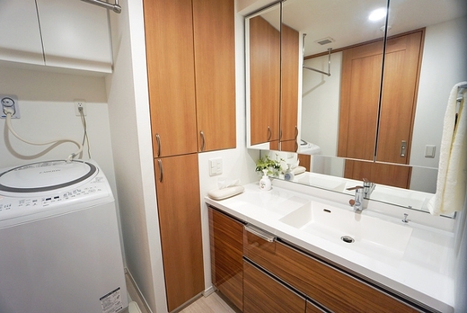 グランドメゾン元住吉ノーステラス 物件写真 建物写真7