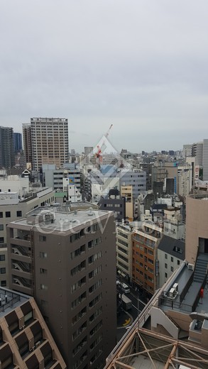 ザ・パークハウスアーバンス東五反田 眺望　画像