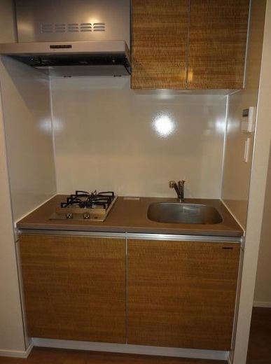 ザ・プレイス駒込 物件写真 建物写真17