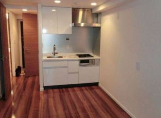 クレヴィア新大塚 物件写真 建物写真11