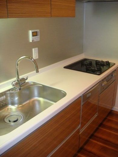 クレヴィア新大塚 物件写真 建物写真18