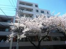 パシフィックレジデンス目黒本町 物件写真 建物写真1