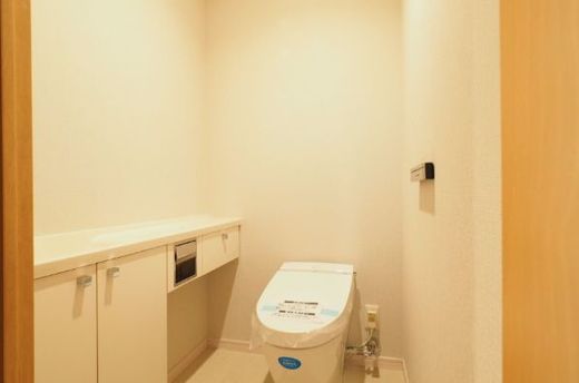 ザ・リバープレイスリバーコート 物件写真 建物写真15
