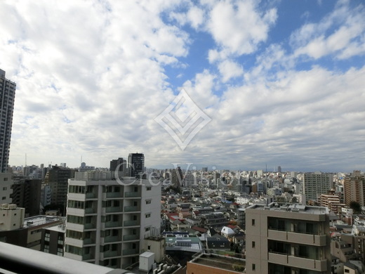 コンシェリア西新宿タワーズウエスト 眺望