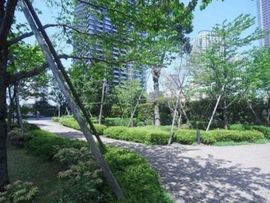 リエトコート武蔵小杉イーストタワー 物件写真 建物写真3