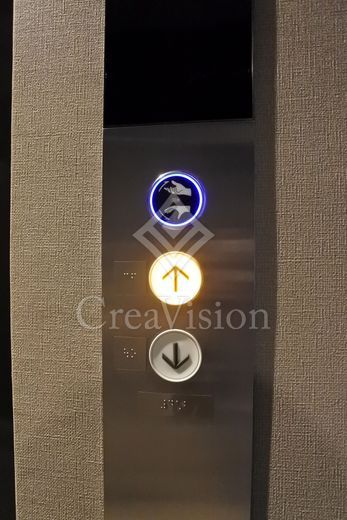 ルフォンプログレ四谷 エレベーター　画像
