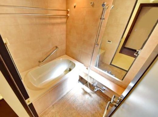 プラウド成城 物件写真 建物写真16