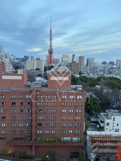 ザ・パークハビオ麻布十番 東京タワー