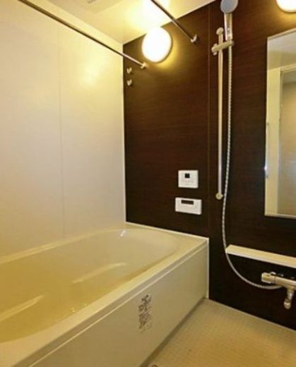 クレヴィア住吉 物件写真 建物写真16