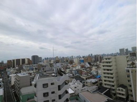 クレヴィア住吉 物件写真 建物写真19