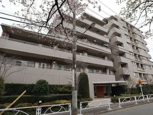 パークハイム目黒碑文谷 物件写真 建物写真2