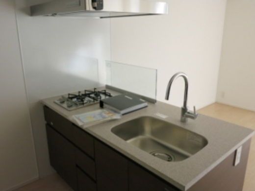 MAISON SENZOKUIKE 物件写真 建物写真11